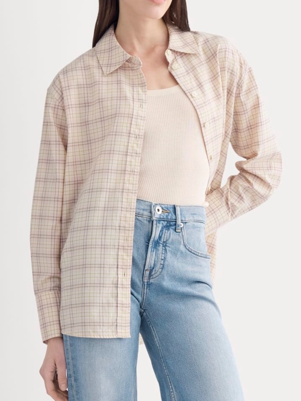 Everlane Everyday Shirt in Silky Cotton Supima Plaid Preppy Minimalist Large NWT